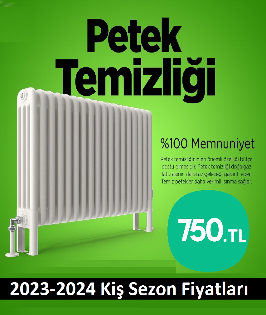 Üsküdar Petek Temizliği Tek Fiyat Teklifi Al
